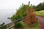 DSC00185