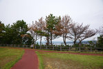DSC00187