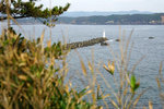 DSC00194