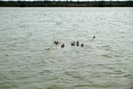 DSCF2319