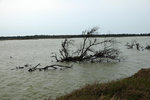 DSCF2326
