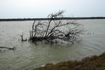 DSCF2327