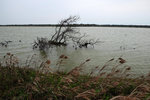 DSCF2331
