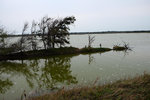 DSCF2350