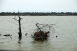 DSCF2354