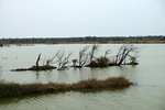 DSCF2372