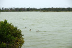 DSCF2377