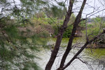 DSCF2389
