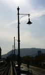 BUD_6496