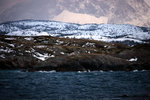 IMG_6647