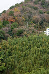 DSC03506