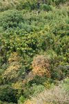 DSC03510
