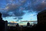 DSC08848