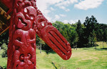 NZ7