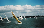 NZ8