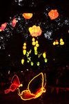 DSC08858