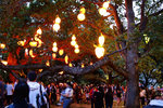 DSC08861