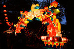 DSC08864