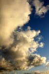 DSC08082