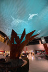 AUK_4444