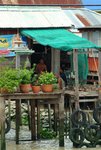 CHAO PHYA RIVER 2