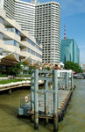 CHAO PHYA RIVER 12