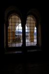 DSCF8796