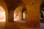 DSCF8876