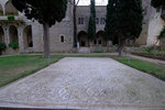 DSCF8893