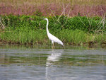 P1422830