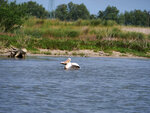 P1422833