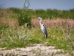 P1422849