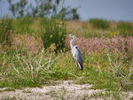 P1422851