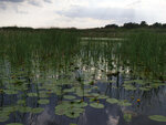 P1444354