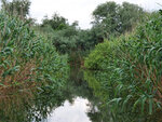 P1444360