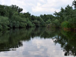 P1444370