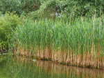 P1444373
