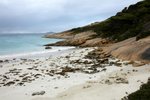 DSC09551