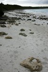 DSC09552