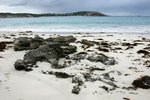 DSC09554