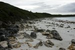 DSC09563