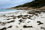 DSC09564