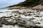 DSC09565