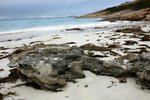 DSC09566