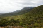 DSC09009