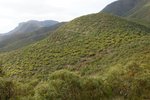 DSC09010