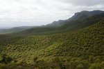 DSC09012