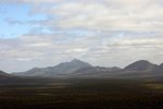 DSC09019