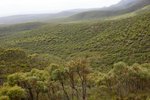 DSC09023