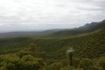 DSC09024